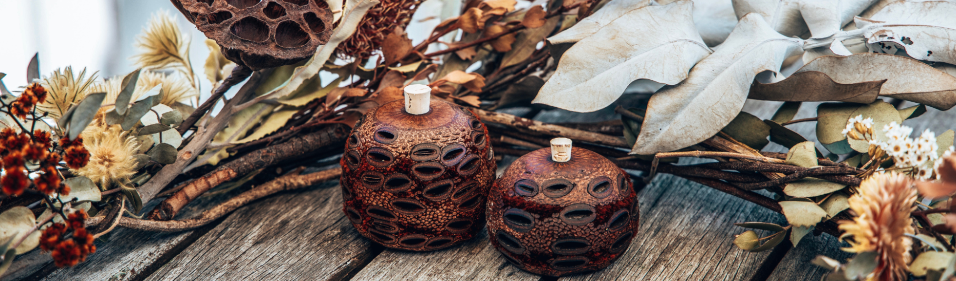 Banksia Gift Pods