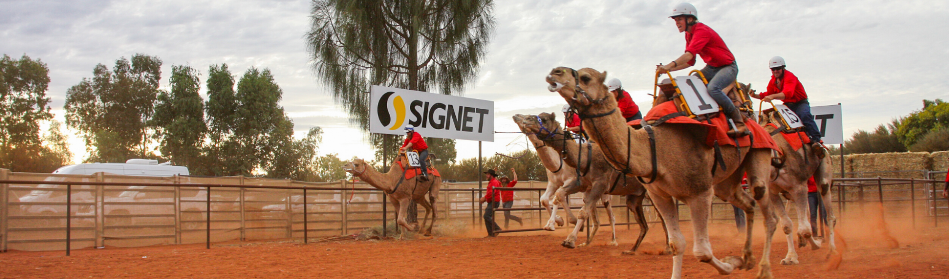 Uluru Camel Cup