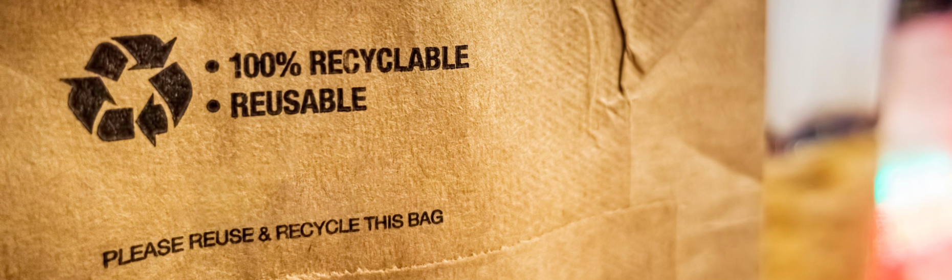 Brown Reusable and Recyclable Bag