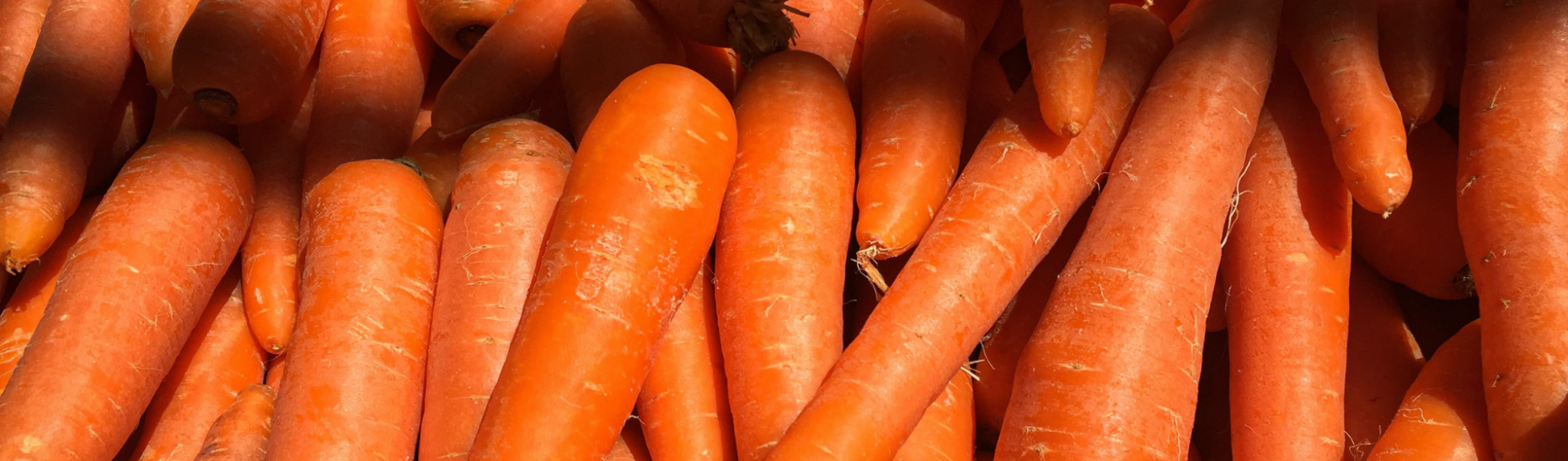 Carrots