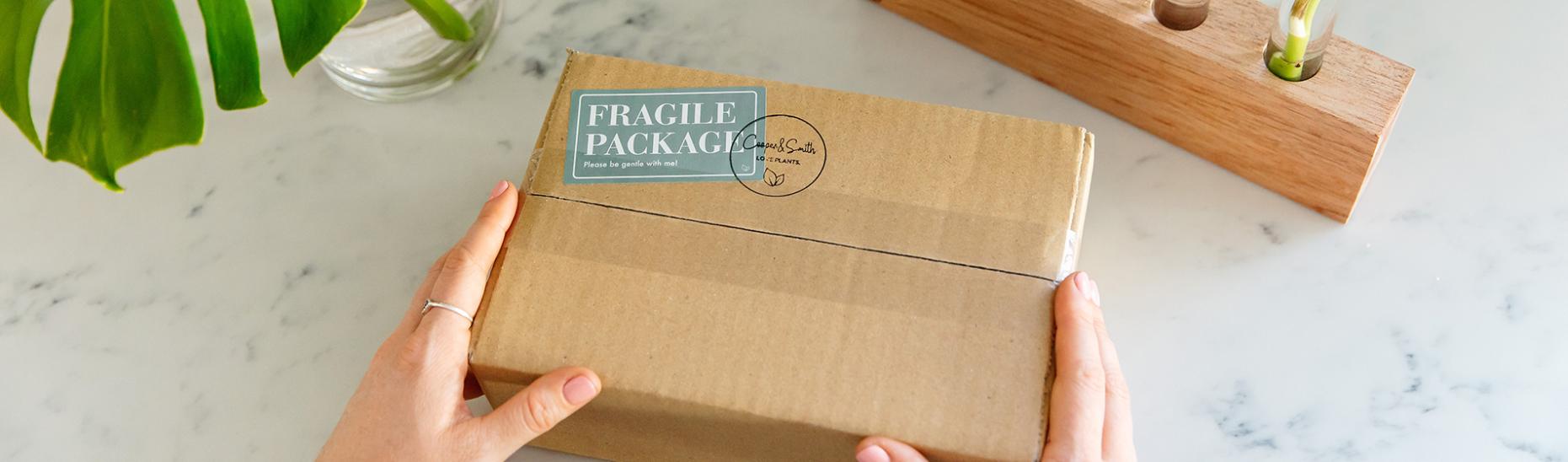Person holding package