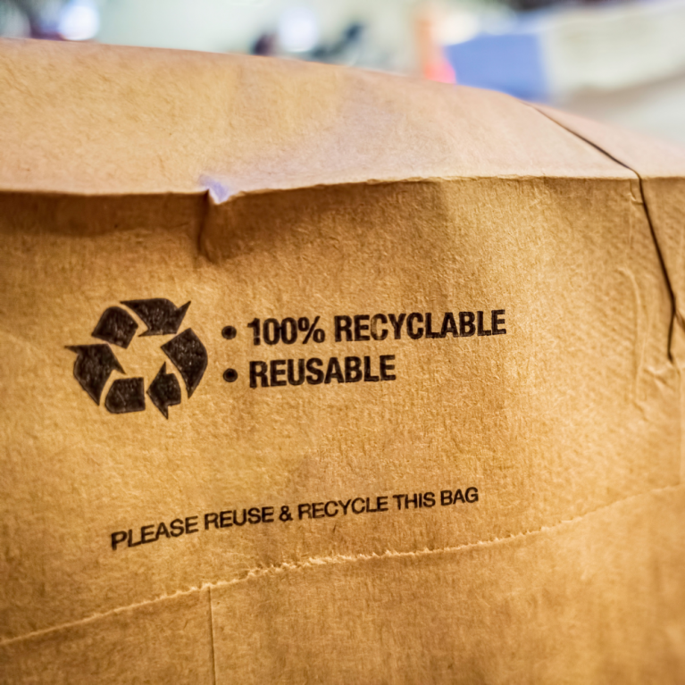 Brown Reusable and Recyclable Bag