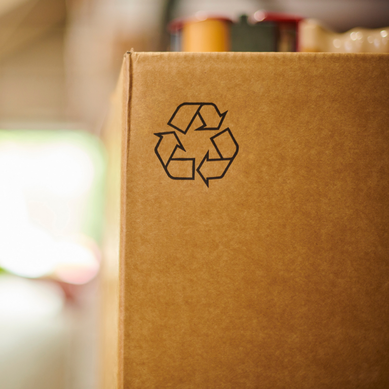 Warehouse Packer and Eco-Friendly Box