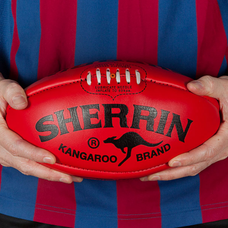 Sherrin Football