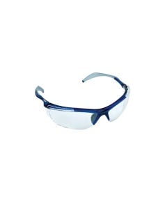 3M Buster Safety Glasses (Clear Lens Anti-fog)