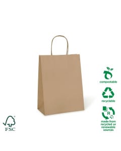 Petite #10 Twist Handle Paper Carry Bag – 100% Recyclable (250 bags per carton)