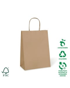 Petite #8 Twist Handle Paper Carry Bag – 100% Recyclable (250 bags per carton)