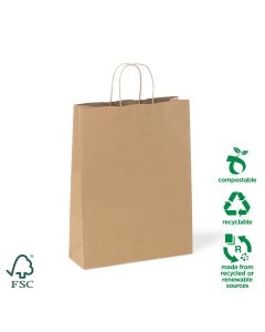 Medium #18 Twist Handle Paper Carry Bag – 100% Recyclable (200 bags per carton)