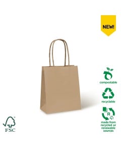 Petite #2 Twist Handle Paper Carry Bag – 100% Recyclable (250 bags per carton)