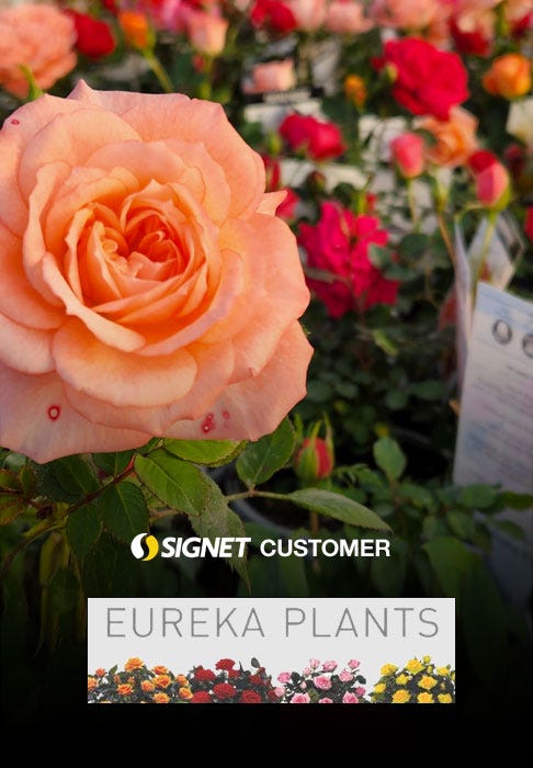 Eureka Plants