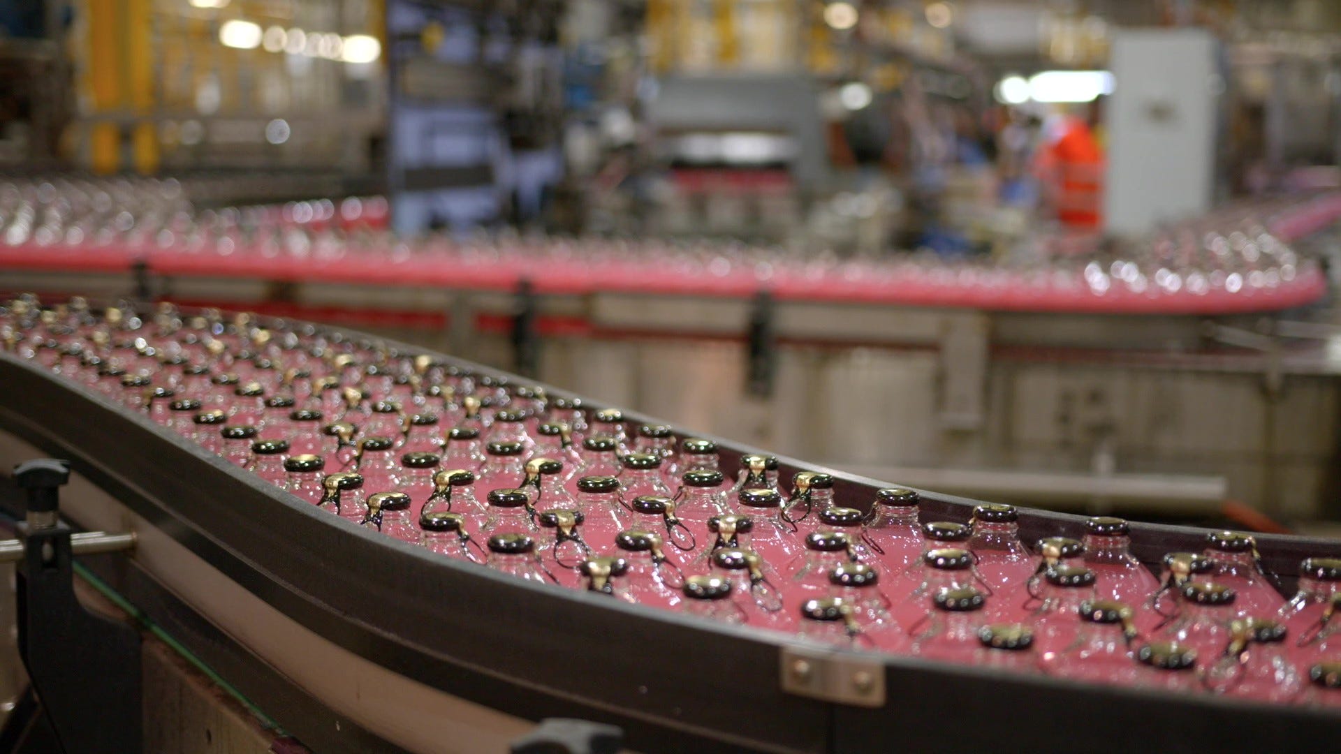 Bottles on production line