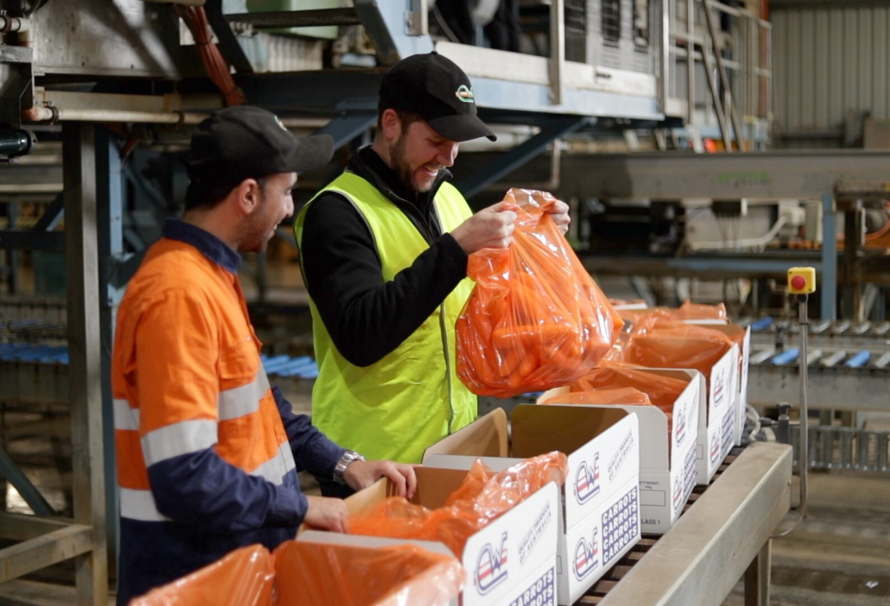 Orange carton liners in use at Center West