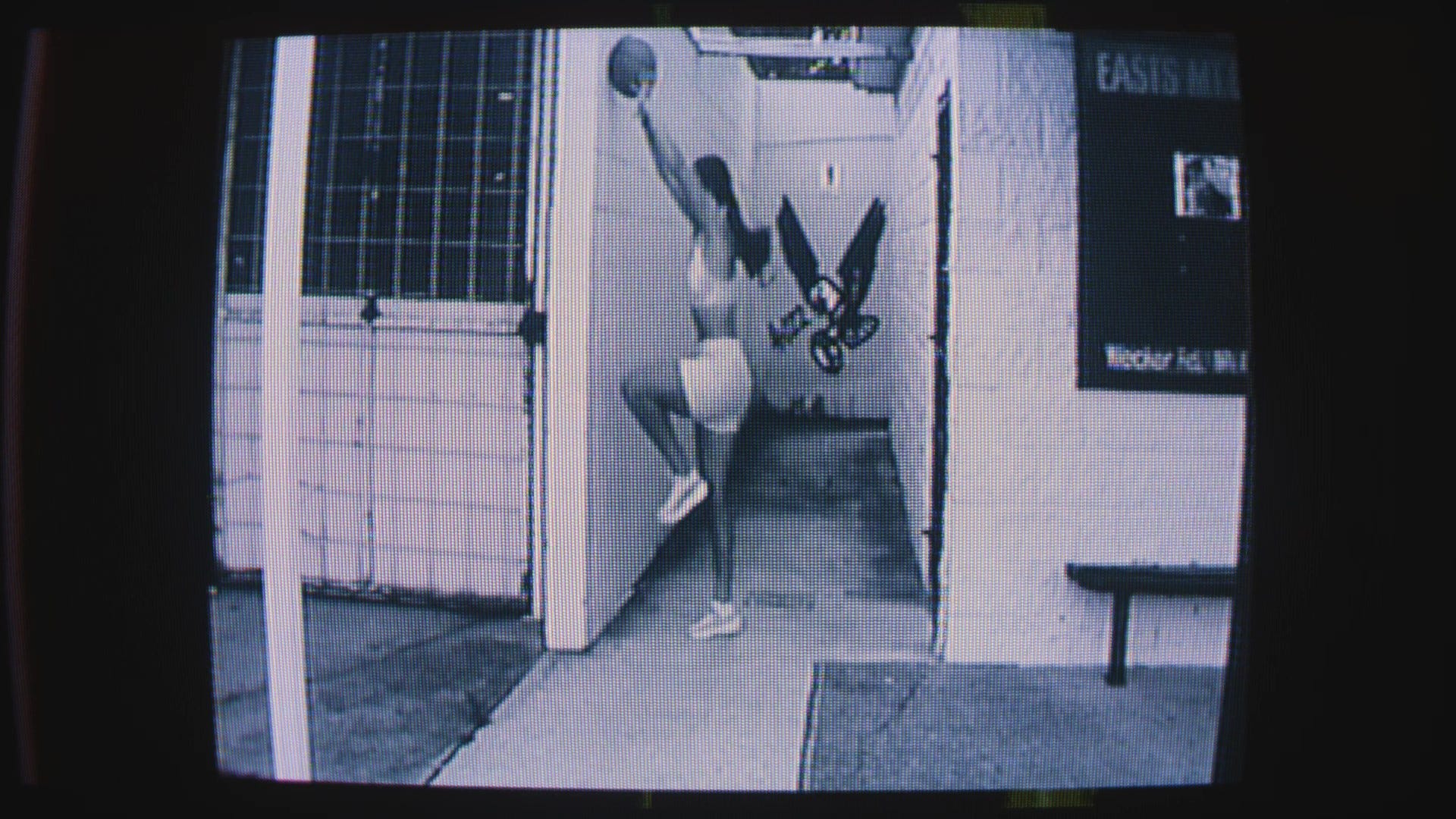 Torrie Lewis Training