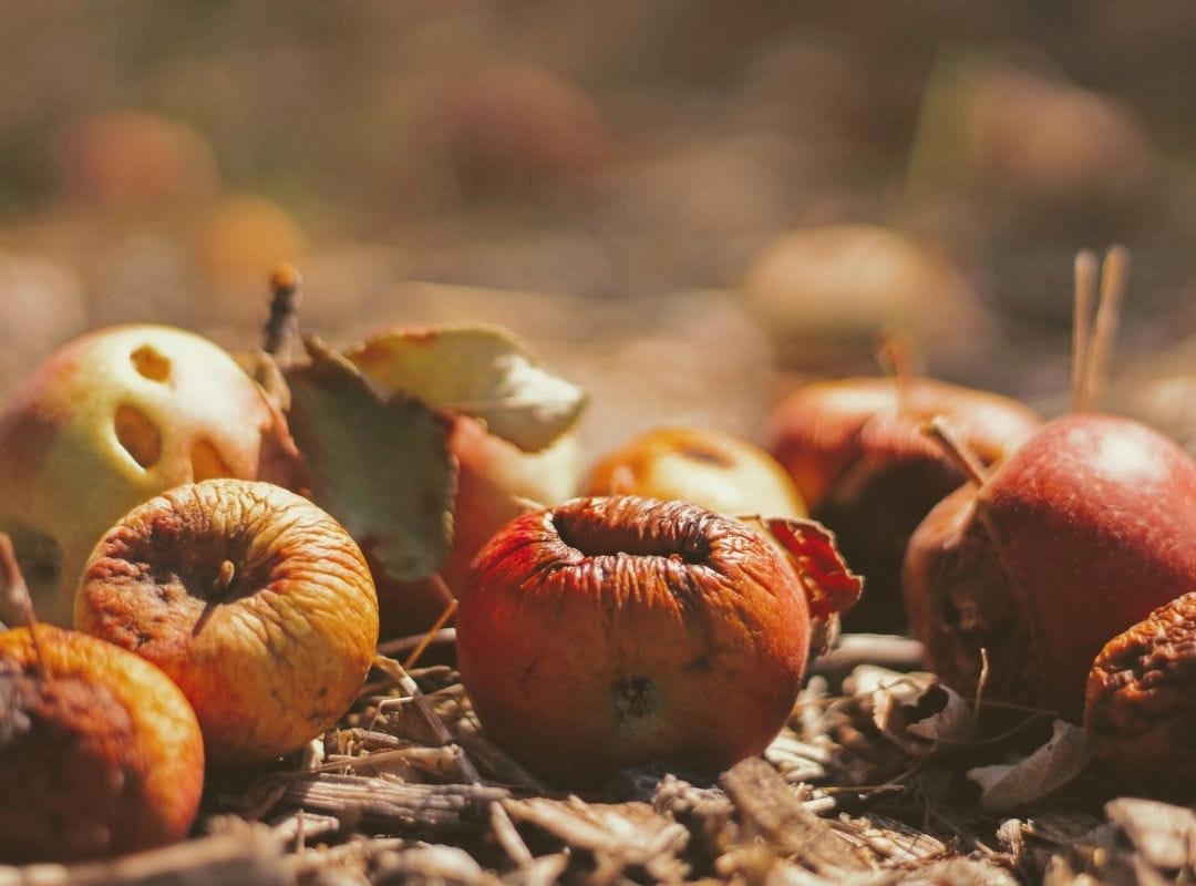 Natural elements composting