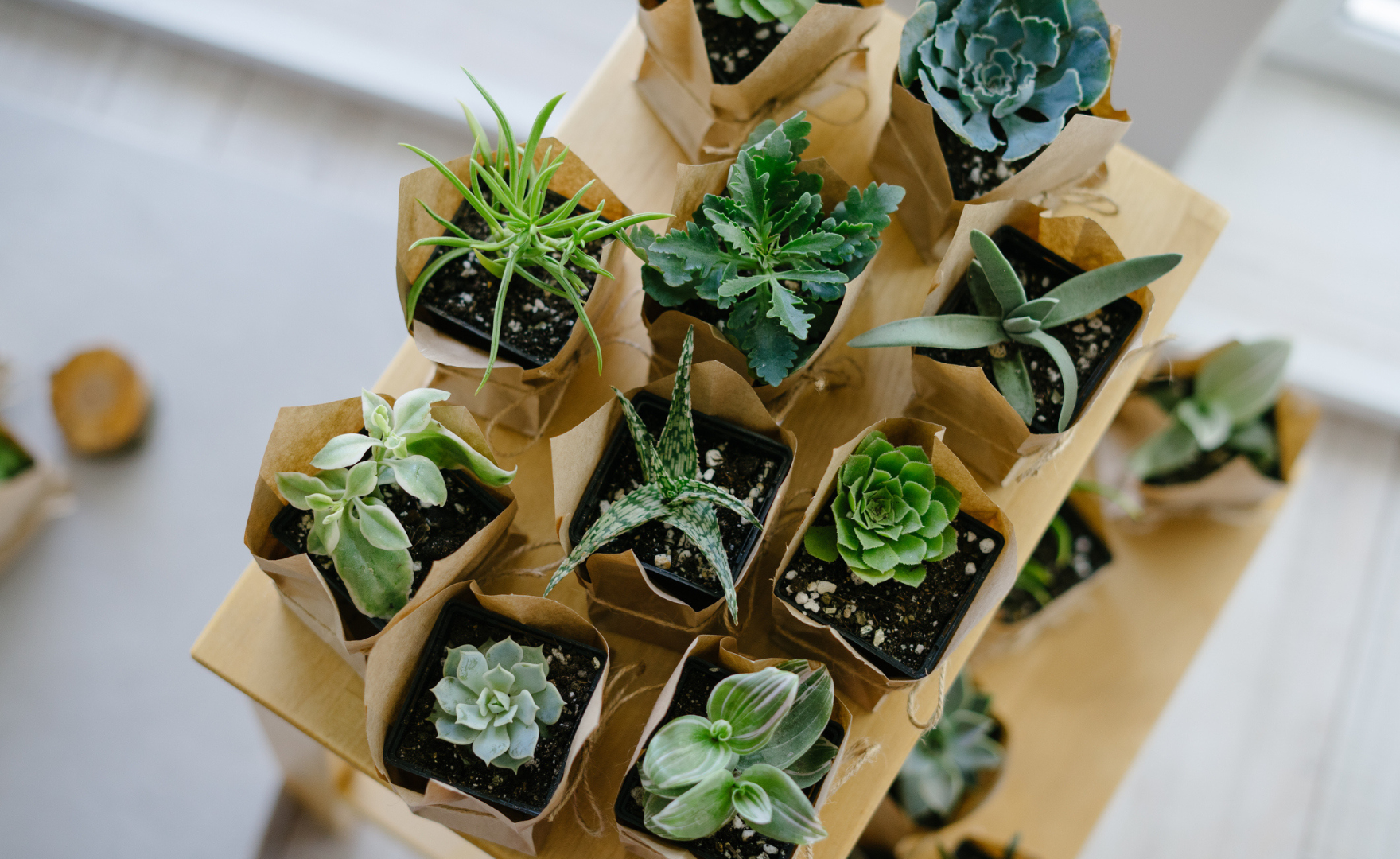 planters made with reused paper